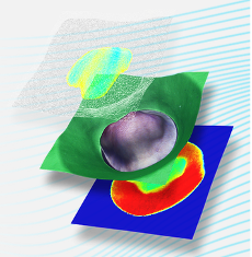 3d-imaging-example